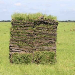 Alternative view of Buy Pallet Of Sod For Sale (450 Sq Ft – $350)